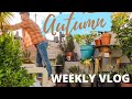 AUTUMN ROOF GARDEN TIDY, HOME UPDATES & SCREEN TEST FOR TV SHOW! | BUSY WEEKLY VLOG! MR CARRINGTON