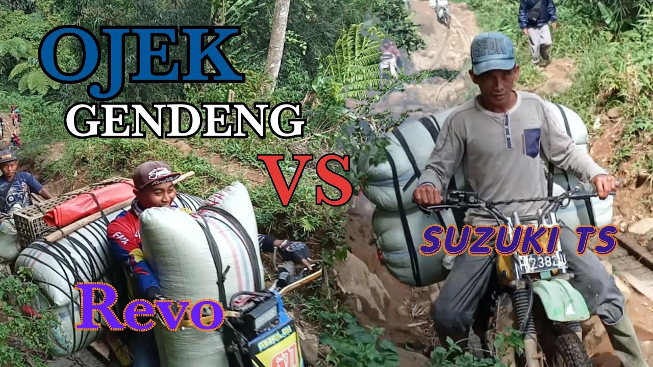 REVO vs SUZUKI TS Angkat Beban 300 Kg Di Tanjakan Terjal Berang NILO Ojek Kopi Sungai Tebal Jambi