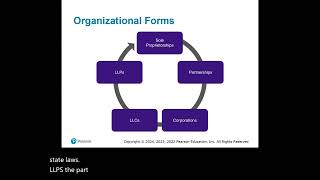 Chapter 2 - Corporate Formations and Capital Structure