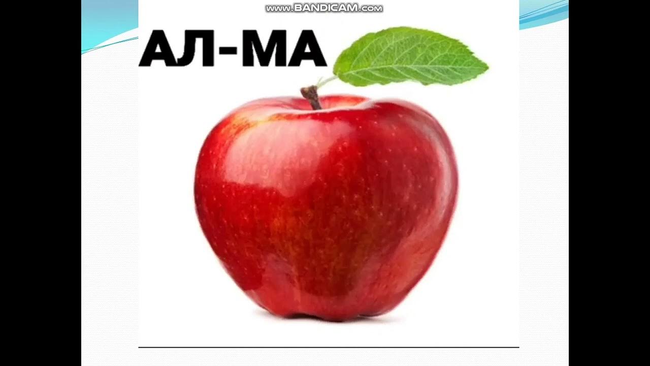 Белдемше сөзіндегі буындар