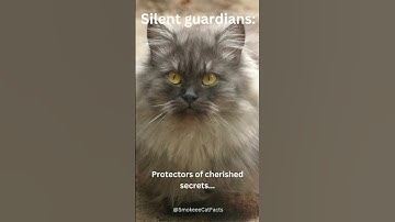 Silent Guardians: Protectors of Cherished Secrets #cat #shorts #subscribe