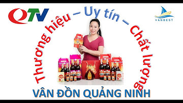 QTV Quảng Ninh |Nước mắm sá sùng cái rồng |sản phẩm chất lượng uy tín Vân đồn |Vanbest - 0936267999