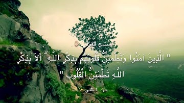 سورة الرعد / آيه ٢٨ .