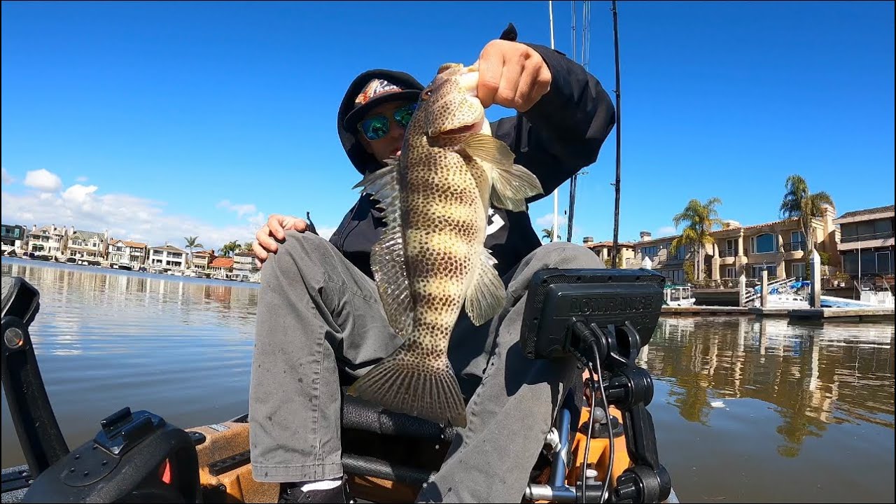 Kayak Fishing Newport Harbor 6 YouTube