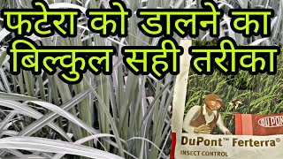 DuPont Ferterra sugercane Application. - Hindi