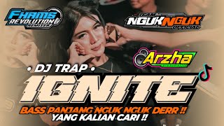 Dj Trap Ignite Bass Bleyer Panjang Nguk Nguk Derr !! Fhams Revolution !!