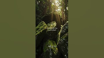 قران كريم ارح قلبك وسمعك #قران_في_دقيقة #رعدالكردي #quran #قرآن @قران_في_دقيقه