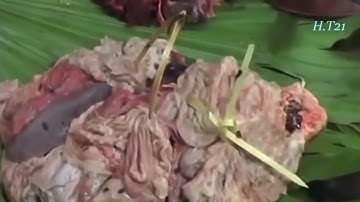 Hunting Wild Boars - Yos Hav Zoov Tua Npua Teb, Tua Noog