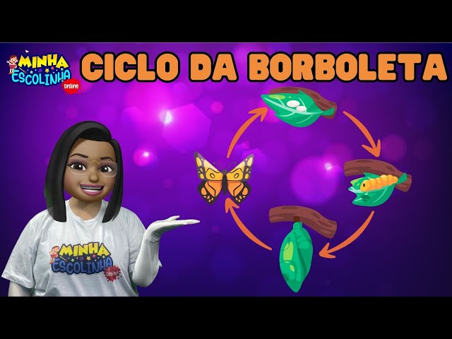 Ciclo da Borboleta G3 - Educação Infantil - Videos Educativos - Atividades para Crianças