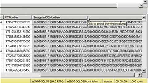 Video09 -- SQL Server 2008 Data Encryption