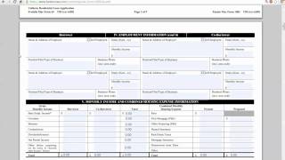 How to fill out a Uniform Residential Loan Application, Fannie Mae 1003 Explained screenshot 3