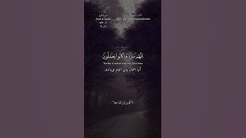#اللهم_صل_وسلم_على_سيدنا_محمد #قران_كريم #quran #سعود_الشريم #سورة_التوبة #surah_at_tawbah (4)