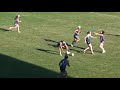 2012 NTL Sharks v Swans Women's Open