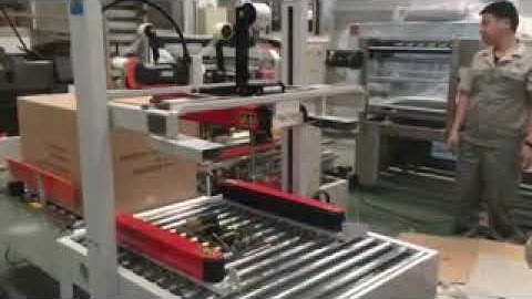 Carton sealer and carton edge sealer