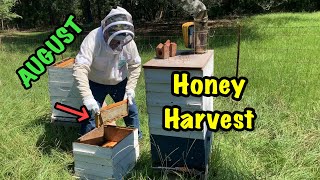 August Honey Harvest 2019 - Pulling HONEY Frames from the HIVE