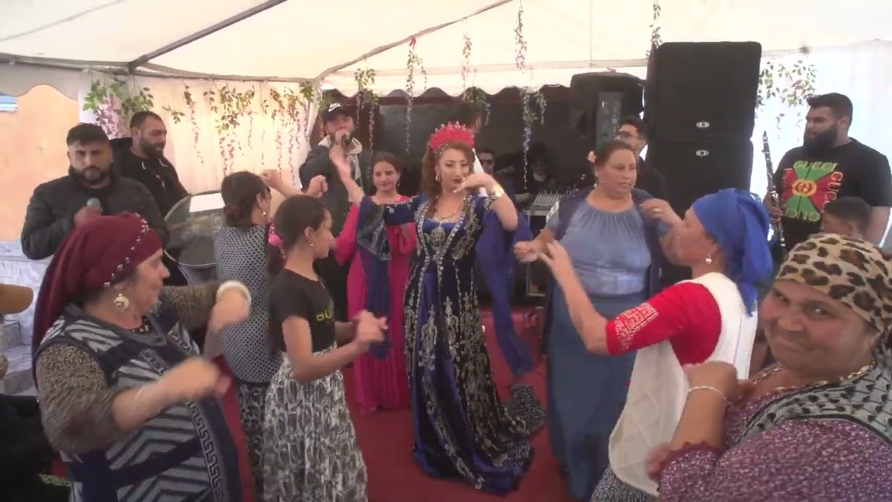 logodna bekali ildiza