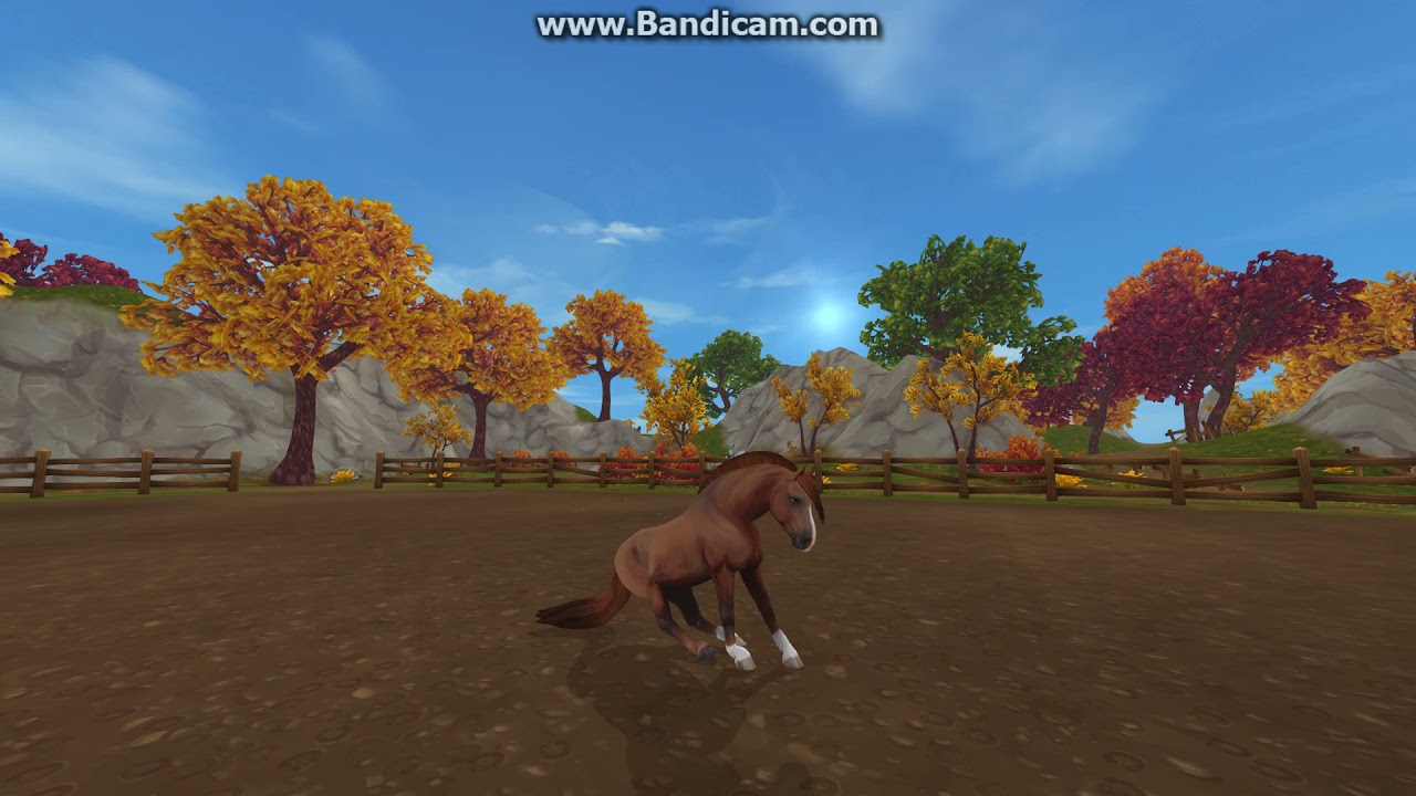 SSO New FINNHORSE gaits