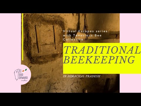 Reviving the Lost Traditional Knowledge of Beekeeping | Food Forward India Himachal Pradesh
