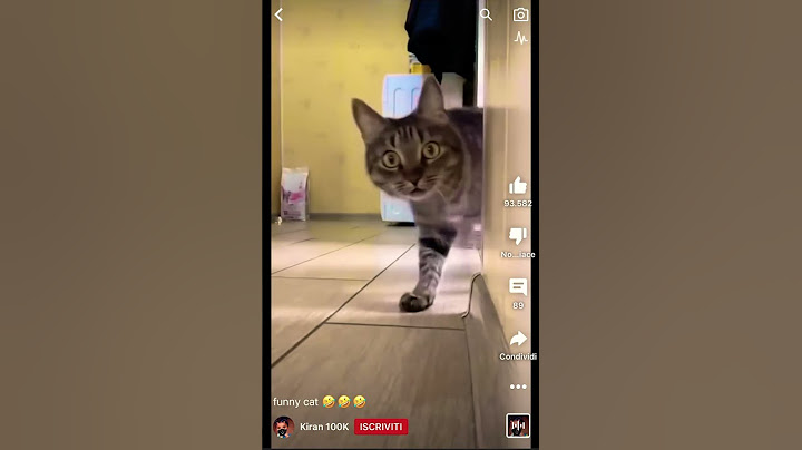 Il gatto si avvicina guardando così 😳 😂🤣 #shortviral #Peppeottanta80