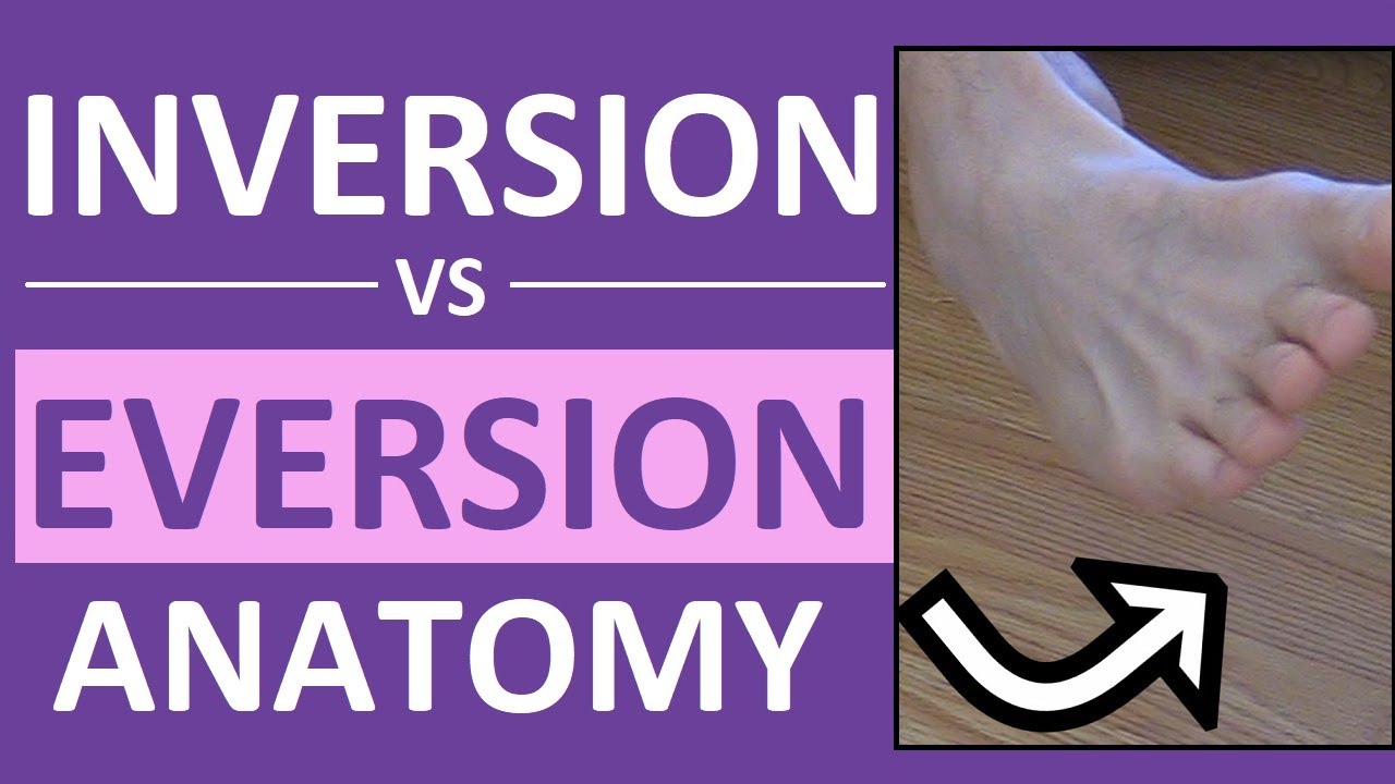 Inversion and Eversion of the Foot, Ankle