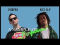 PREF1X - Long Gone - A Sample Of Perfection