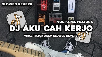 VIRAL TIKTOK!! DJ AKU CAH KERJO VOC FAREL PRAYOGA (SLOWED) JAWA PRIDE MUSLIH FVNKY