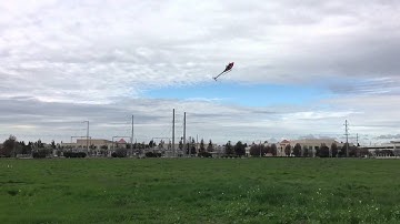 Protos Max V2 Evoluzione 700 Test Flight 2