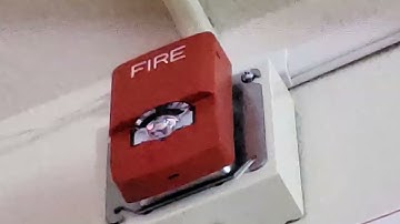 Wheelock Exceder LED3 LSTR3 Fire Alarm Strobe