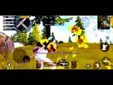 ხარისხისთვის ბოდიშით