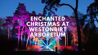 Enchanted Christmas at Westonbirt Arboretum 2019