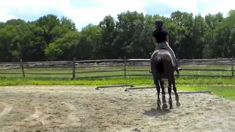Chile warm up jumps with Judy Richter