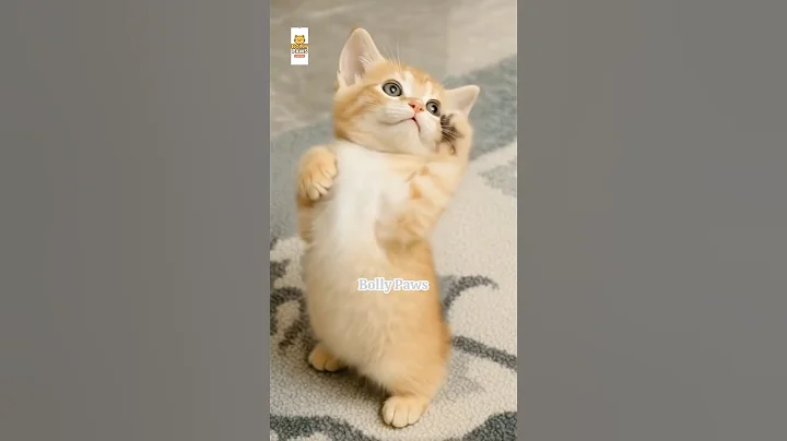 Watch the video about Pretty Little Baby 🐱❤️#cat#cats#trending#shorts#cute#funny#catvideos#prettylittlebaby#pets#animals
