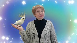 картинка: Казка про Голосний звук