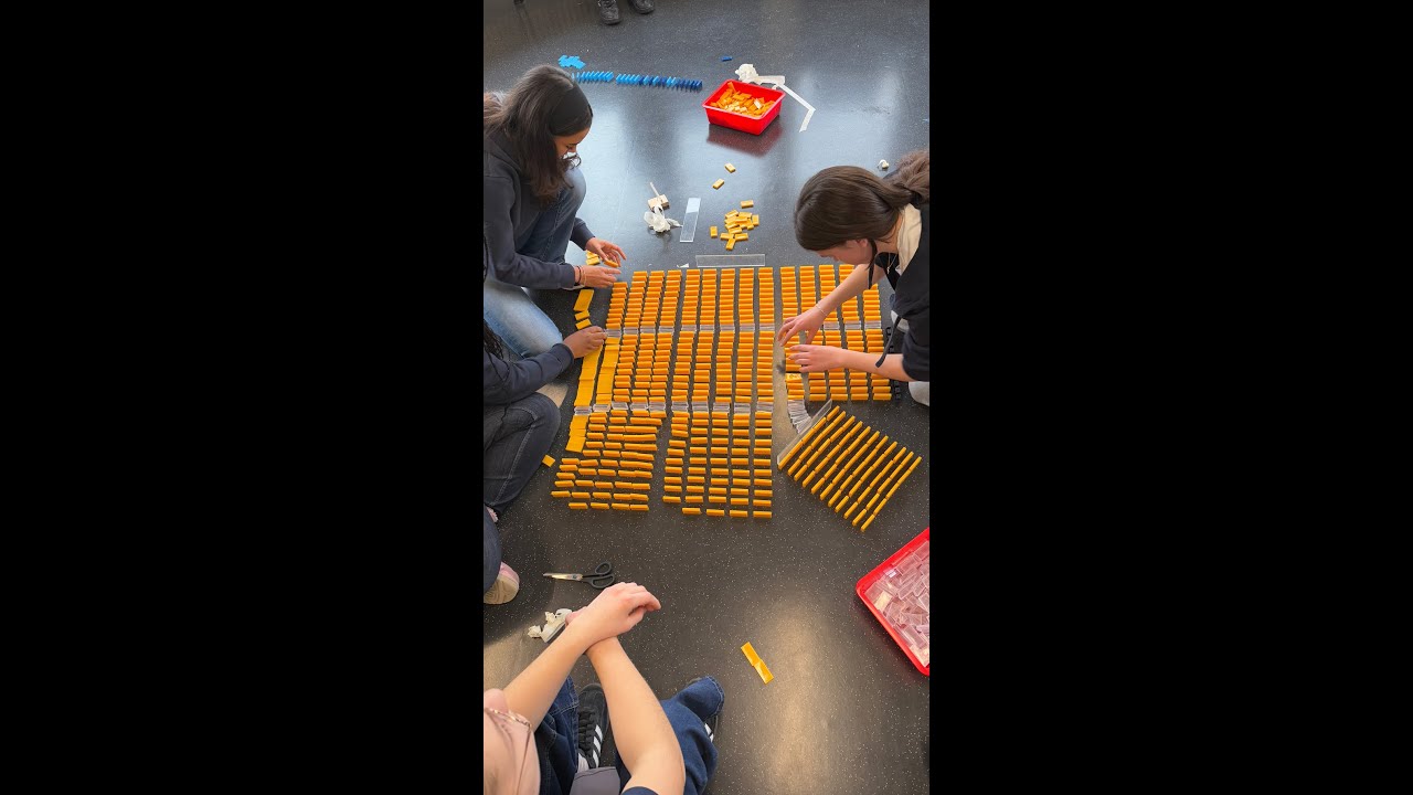 Film Domino Day 2025