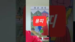 용띠 오늘의운세 대박 2024년4월20일 토요일 띠별운세 총운 금전운 연애운 애정운 길한색 길한방향 타로운세
