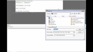 Compiling and Running COBOL Code in Net Express screenshot 1