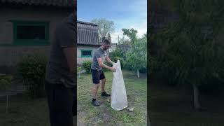 ДЕРЕВО НЕ ПРОСНУЛОСЬ ПОСЛЕ ЗИМЫ? ЧТО ДЕЛАТЬ? #персик #саженцы #проблемы #сад #дача #садоводничество