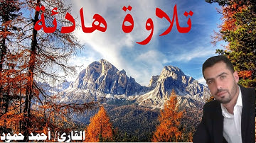 تلاوة هادئة💚أواخر سورة الزمر/القارئ أحمد حمود