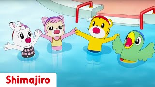 Ready for Pool Season! 😎 Courage | 24 Minute Compilation | Kids video for Kids | Shimajiro