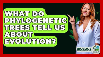 What Do Phylogenetic Trees Tell Us About Evolution? - Biology For Everyone