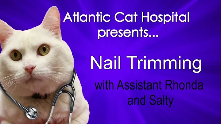 How to: Trim your cat's nails | Atlantic Cat Hospi...