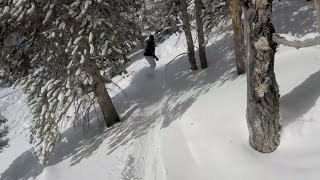 Vail - Epic Tree Runs, Bumps, and Powder Day