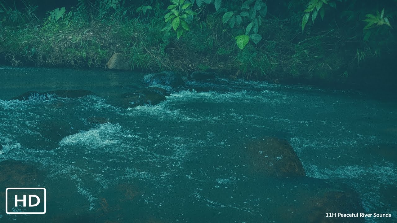 Real Flowing River – Relaxing Night Escape