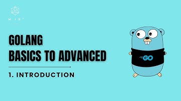 Why Learn Go? A Beginner