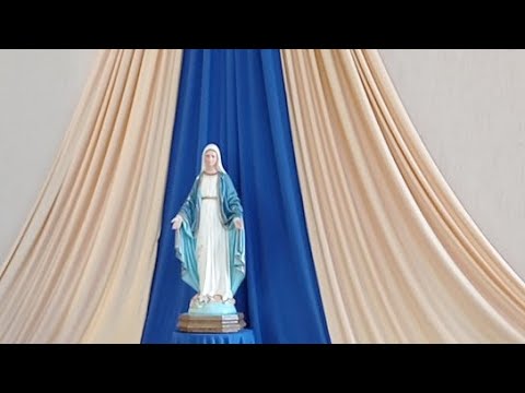 12º Domingo do Tempo Comum