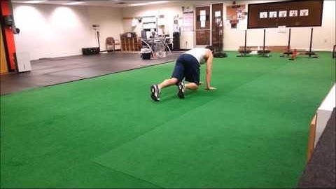 Bear Crawl Forward/Backward