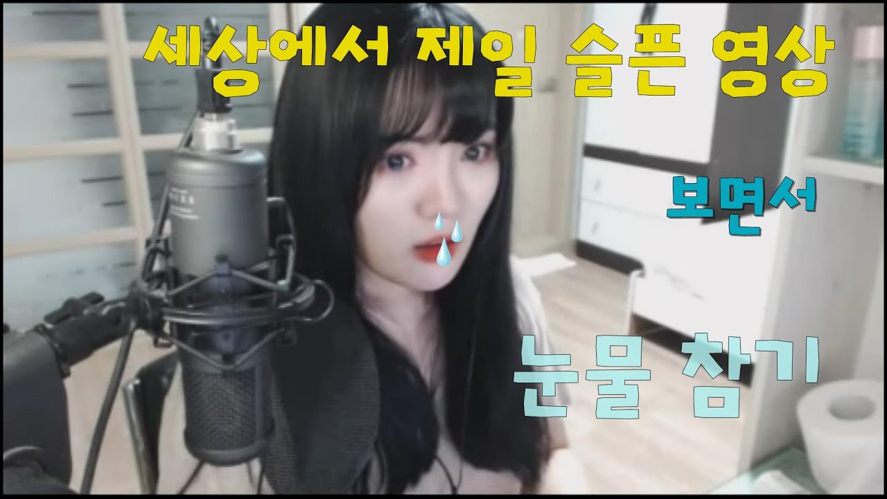 세상에서 제일 슬픈 동영상 보고 눈물참기!!!!!