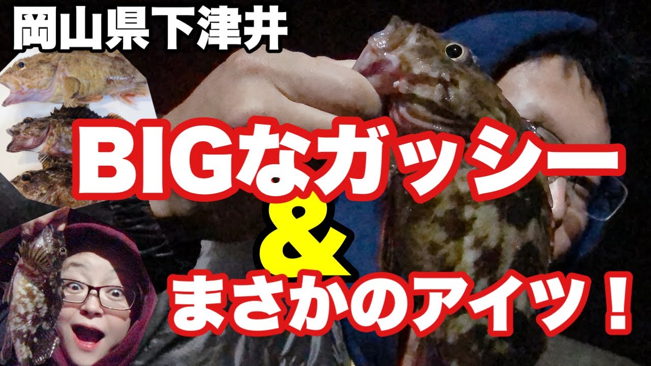 岡山 夜のガッシー狙い動画完成しました 晴れの国から釣りドキッ 釣りと料理etc From岡山
