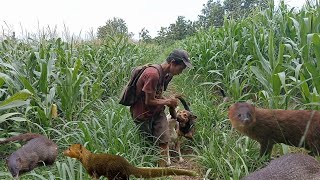 Download Lagu BERBURU GARANGGAN MP3