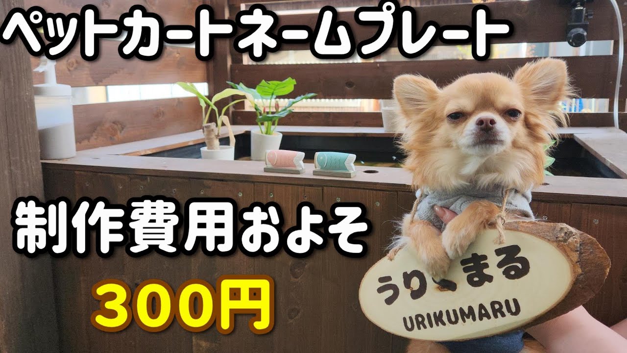 ペットカートエアバギーのネームプレート手作り制作費用300円の作り方